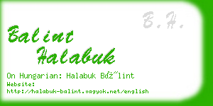 balint halabuk business card